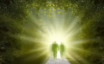 Luz suave atravessando uma floresta ao amanhecer, com uma silhueta caminhando por uma trilha