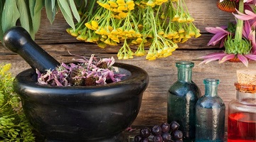 Ramos de alecrim, lavanda e hortel&atilde; sobre uma mesa de madeira ao lado de uma x&iacute;cara de ch&aacute;