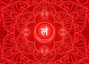 Chakra raiz (Muladhara): significado, caracter�sticas e pr�ticas